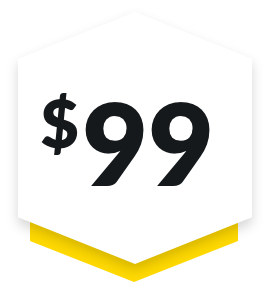 99-Badge-Yellow 99 dollars